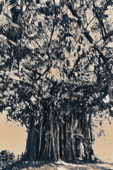 10/07/19 17:51:32 0.8s
